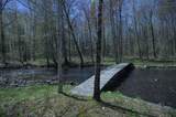 743 Woodlawn Rd - Photo 4