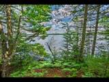 Lot 136 Clearwater Lake Tr - Photo 1