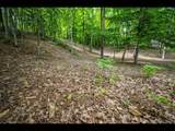 Lot 136 Clearwater Lake Tr - Photo 5