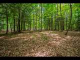 Lot 136 Clearwater Lake Tr - Photo 7