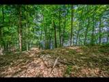 Lot 136 Clearwater Lake Tr - Photo 8