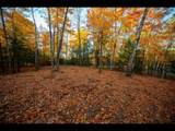 Lot 136 Clearwater Lake Tr - Photo 9