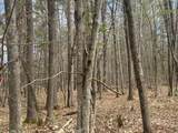 Lot 5 Pine Breeze Way - Photo 7
