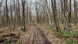 Off Hay Creek Rd - Photo 29