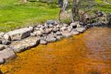 5710 Willow Rd - Photo 3
