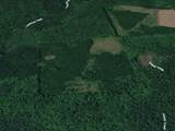 Lot on Forest Road 2154 - Photo 3