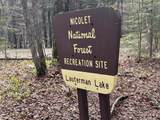 Lot on Forest Road 2154 - Photo 7