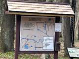 Lot on Forest Road 2154 - Photo 8