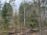 LOT ON Hwy 51 - Photo 10