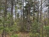 LOT ON Hwy 51 - Photo 9
