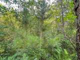 ON Darlaks Bay Ln - Photo 10