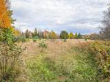 ON Darlaks Bay Ln - Photo 4