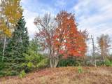 ON Darlaks Bay Ln - Photo 5