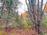 ON Darlaks Bay Ln - Photo 6