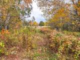 ON Darlaks Bay Ln - Photo 8