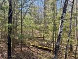 Lot 2A Deer Tr - Photo 6