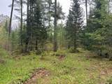 ON Bearskull Rd - Photo 11