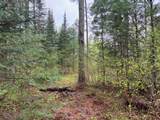ON Bearskull Rd - Photo 12