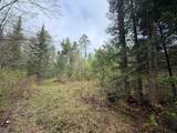 ON Bearskull Rd - Photo 13