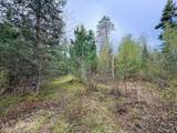 ON Bearskull Rd - Photo 14