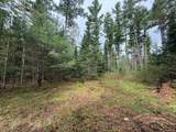 ON Bearskull Rd - Photo 15