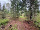 ON Bearskull Rd - Photo 16
