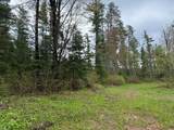 ON Bearskull Rd - Photo 18