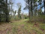 ON Bearskull Rd - Photo 3