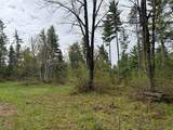 ON Bearskull Rd - Photo 4