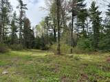 ON Bearskull Rd - Photo 6
