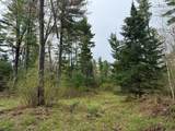 ON Bearskull Rd - Photo 7