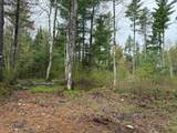 ON Bearskull Rd - Photo 9