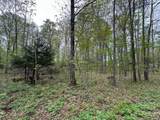 Lot 61 Chip N Dale Dr - Photo 2