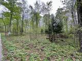 Lot 61 Chip N Dale Dr - Photo 3