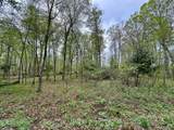 Lot 61 Chip N Dale Dr - Photo 4