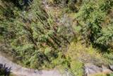 Lot 5 Little Bearskin Rd - Photo 13