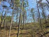 Lot 5 Little Bearskin Rd - Photo 18