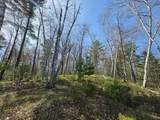 Lot 5 Little Bearskin Rd - Photo 22