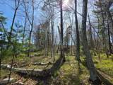 Lot 5 Little Bearskin Rd - Photo 24