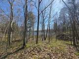 Lot 2 Little Bearskin Rd - Photo 14
