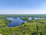 11072 Annabelle Shores Rd - Photo 45