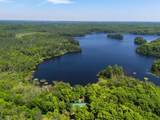 11072 Annabelle Shores Rd - Photo 47