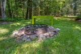 11072 Annabelle Shores Rd - Photo 48