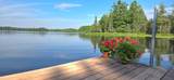 11072 Annabelle Shores Rd - Photo 5