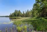 11072 Annabelle Shores Rd - Photo 56