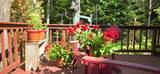 11072 Annabelle Shores Rd - Photo 57
