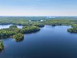 11072 Annabelle Shores Rd - Photo 8
