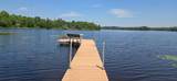11072 Annabelle Shores Rd - Photo 9