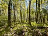 80 acres Clausen Rd - Photo 10