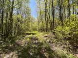 80 acres Clausen Rd - Photo 14